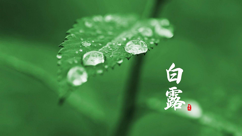 白露至，日后秋漸深